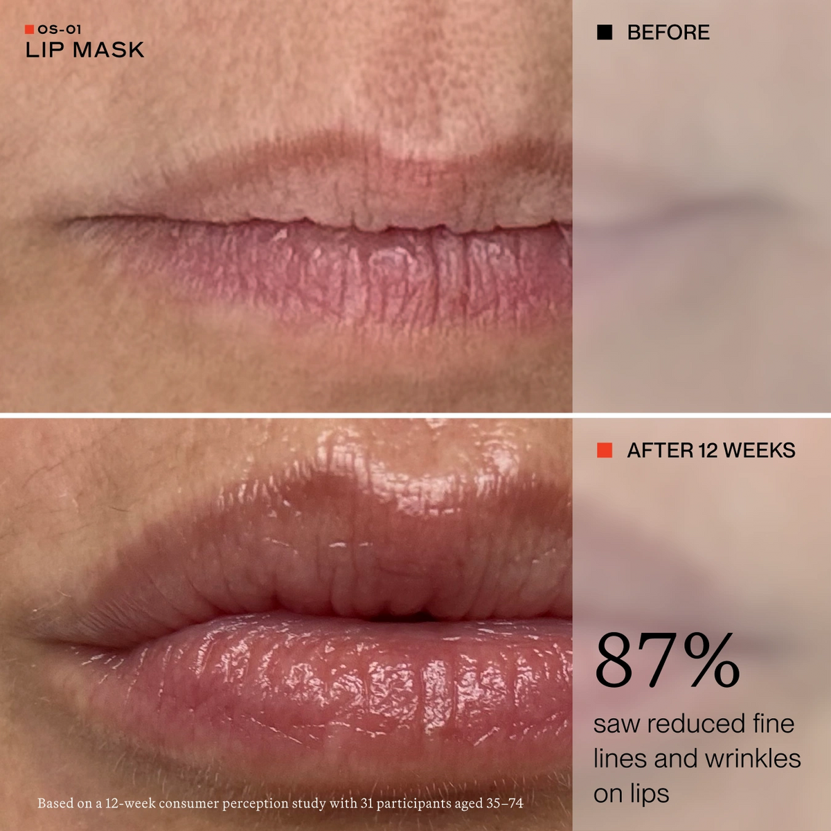 RICH + LIP DUO